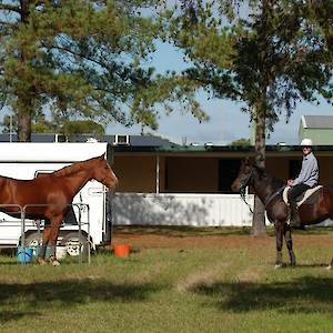 2017 May 13th Working Equitation PLAYDAY