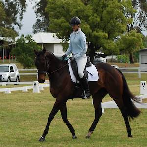 2017 October 15th T-Shirt Dressage Competition