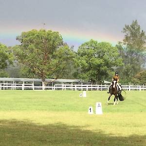 2018 February 4th Dressage Training Competition