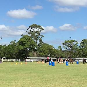 2018 March 3rd Working Equitation PLAYDAY