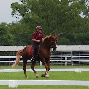 2018 Easter Working Equitation Dressage Day