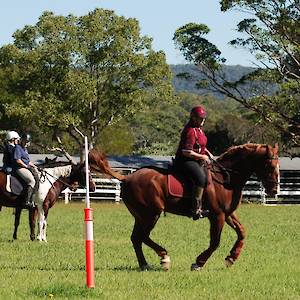 2018 May Working Equitation PLAYDAY training