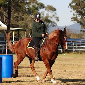 2018 August Working Equitation Competition