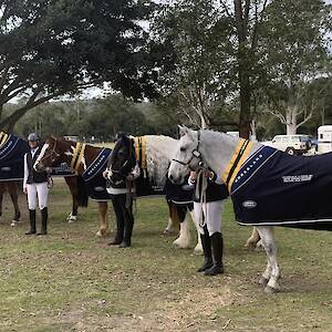 BDC & Stroud Working Equitation HOTY competition July 2023